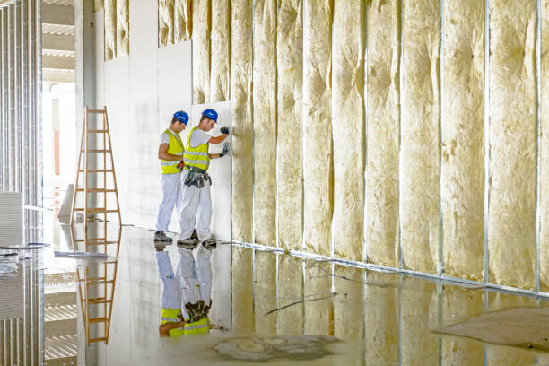 Best Fiberglass Insulation  in Fife Heights, WA